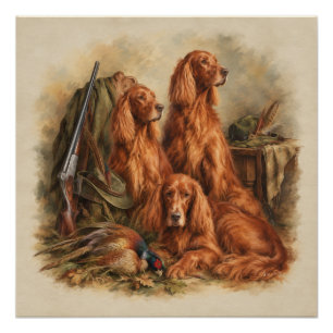 Irischer Setter ,Kunst Poster