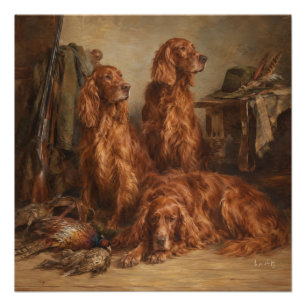 Irischer Setter ,Kunst Poster