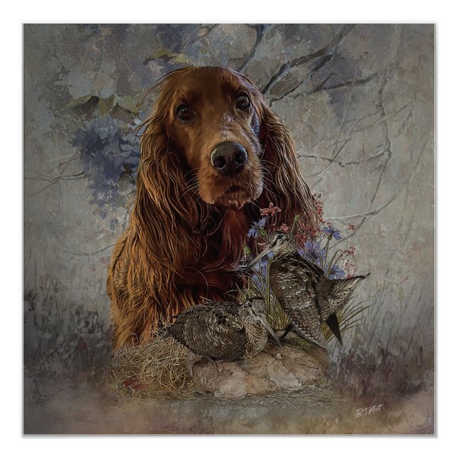irischer Setter mit Holzhaken Poster (Vorderseite)
