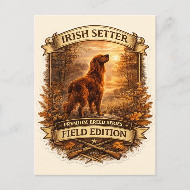 Irischer Setter Postkarte (Vorderseite)