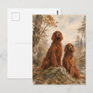 Irischer Setter Postkarte