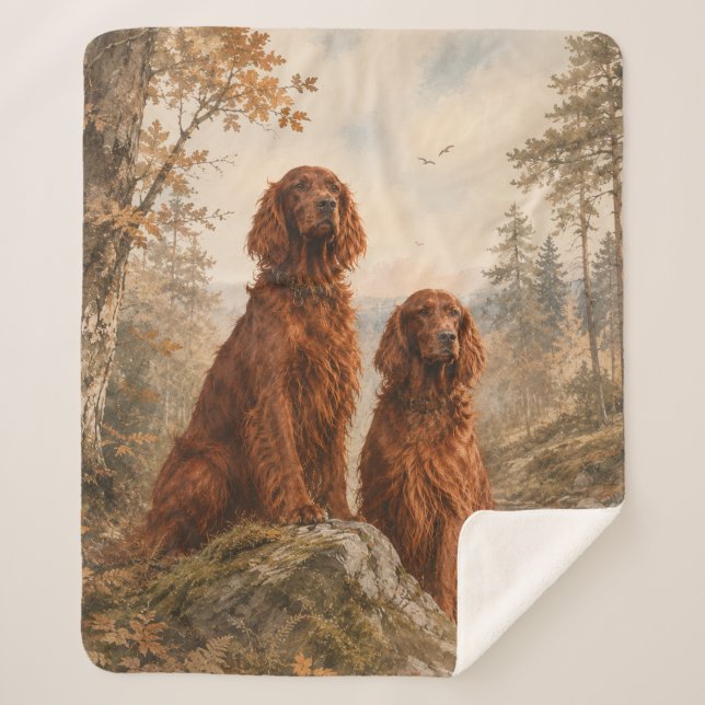  Irischer Setter  Sherpadecke (Vorderseite)