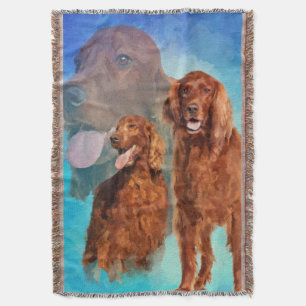Irischer Setter verfolgt Collage Decke