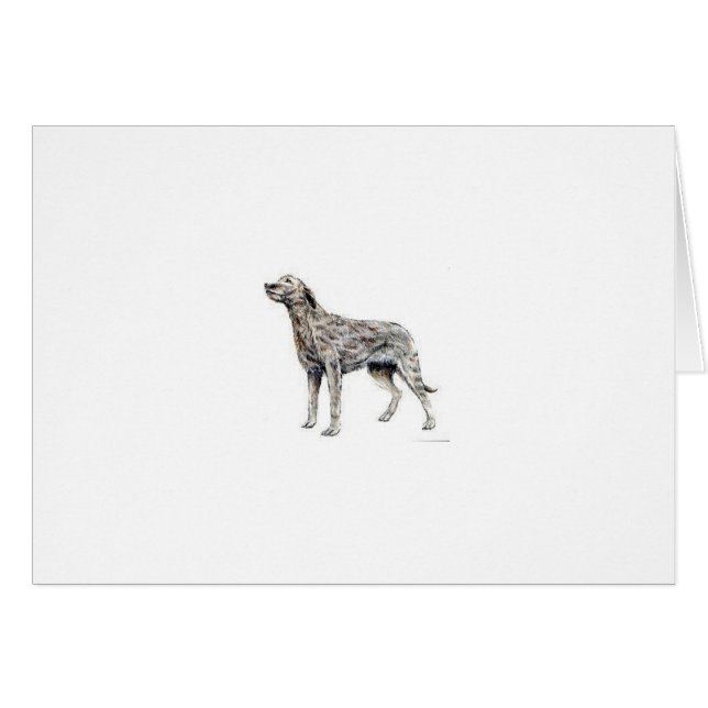 Irischer Wolfhound (Vorderseite (Horizontal))