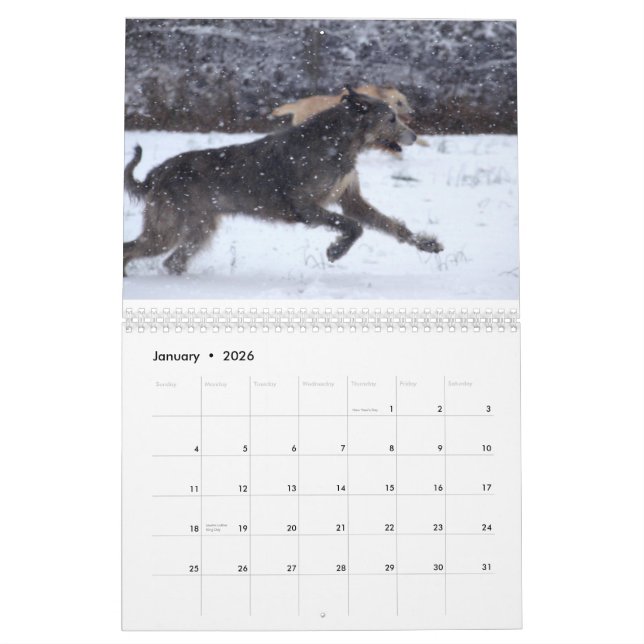 Irischer Wolfhound 2012 Kalender (Jan 2026)