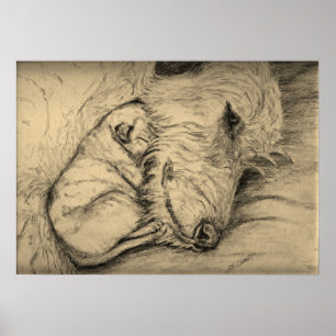 Irischer Wolfhound-Mutter und Welpe Poster