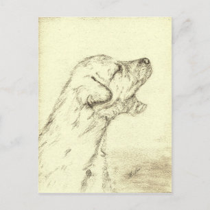 Irischer Wolfhound-Welpe Postkarte