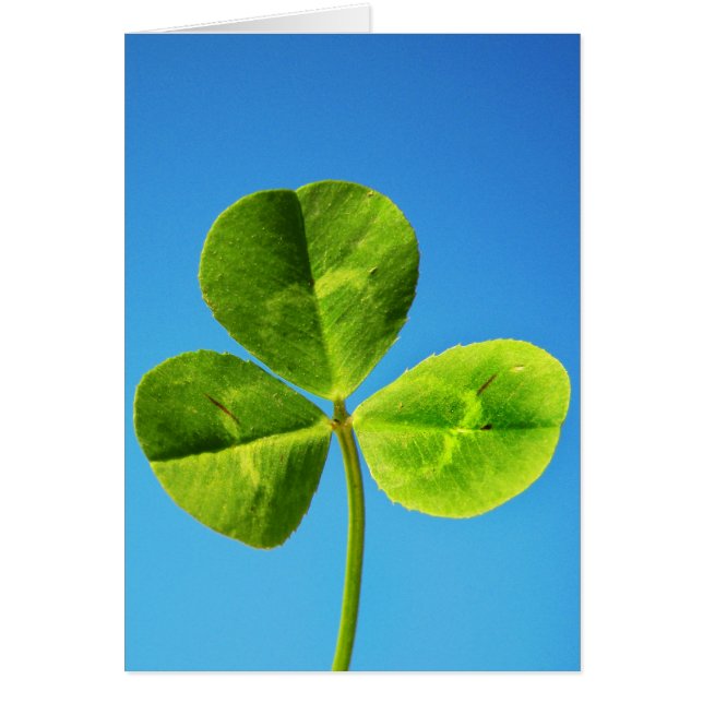 irisches Glück (Vorne)