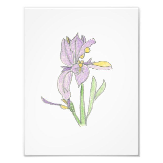Irisdruck Fotodruck (Vorne)