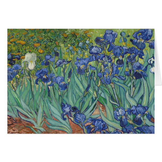 Irises (Devant horizontal)