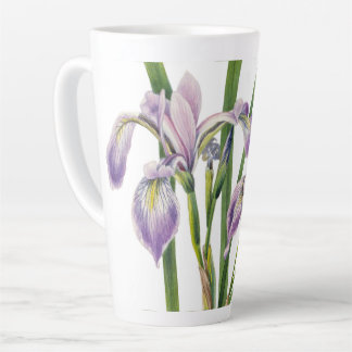 IRISES BLUME ILLUSTRATION MILCHTASSE