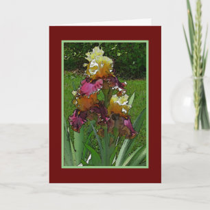 "IRISES" BURGUNDY, BLEIBENLOW UND GRÜNE/GLÜCKLICH  KARTE