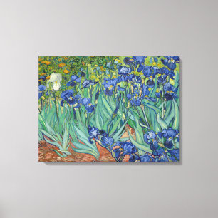 Irises by Van Gogh Wrapped Canvas Leinwanddruck