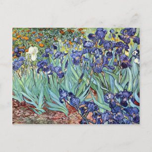 Irises by Vincent van Gogh 1898 Postkarte
