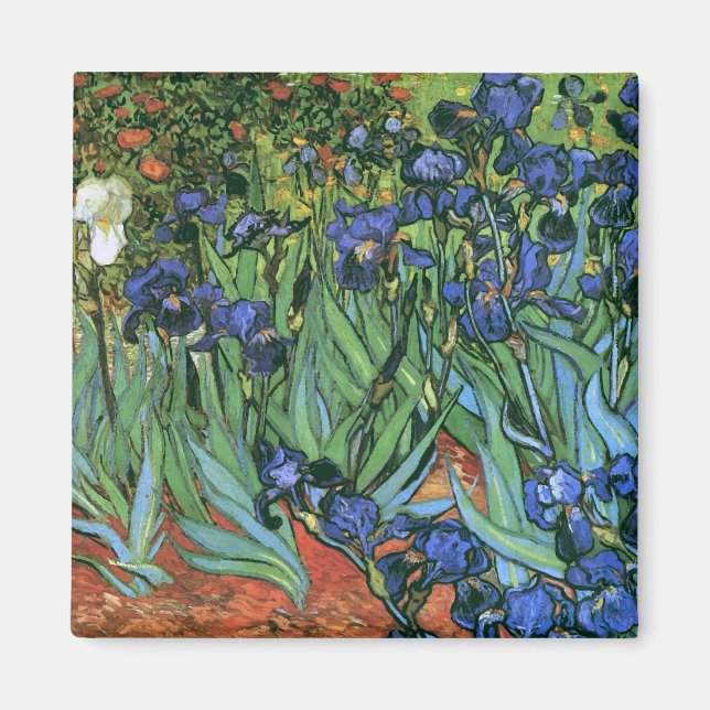 Irises (F608) Van Gogh Fine Art Magnet (Vorne)
