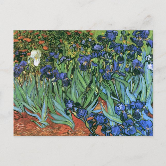 Irises (F608) Van Gogh Fine Art Postkarte (Vorderseite)