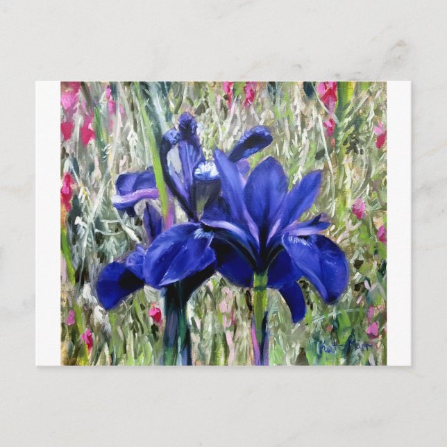 Irises oil painting postkarte (Vorderseite)
