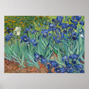 Irises par Van Gogh Poster Imprimer
