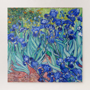Irises Vincent van Gogh