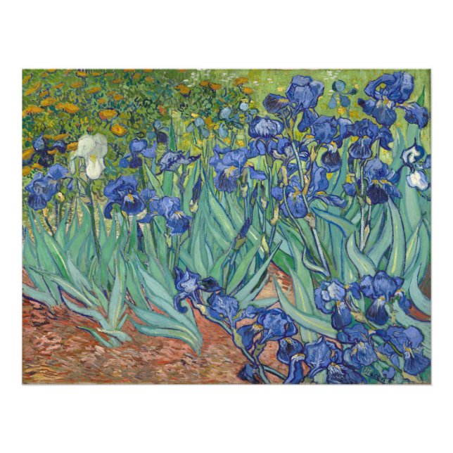 Irises Vincent Van Gogh Fotodruck (Vorne)
