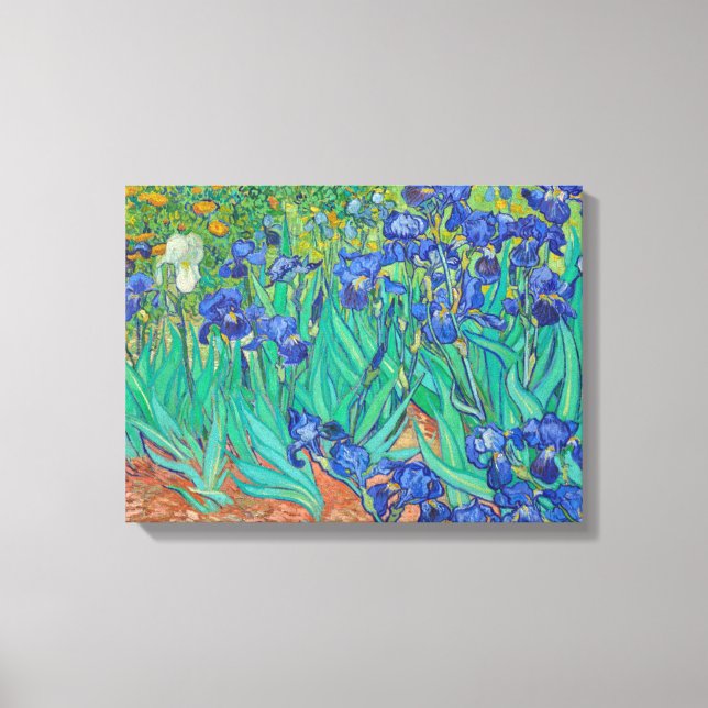 Irises Vincent van Gogh Leinwanddruck (Vorderseite)