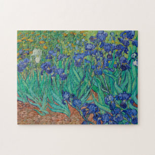 Irises von Vincent Van Gogh