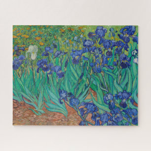 Irises von Vincent Van Gogh