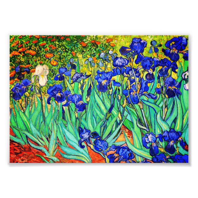 Irises von Vincent Van Gogh Fotodruck (Vorne)