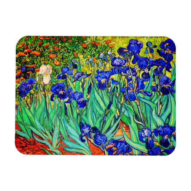 Irises von Vincent Van Gogh Magnet (Horizontal)