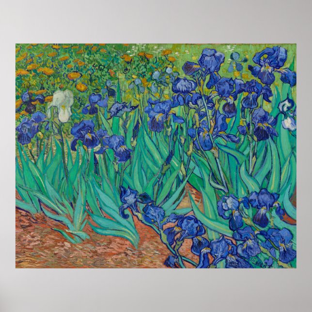 Irises von Vincent Van Gogh Poster (Vorne)