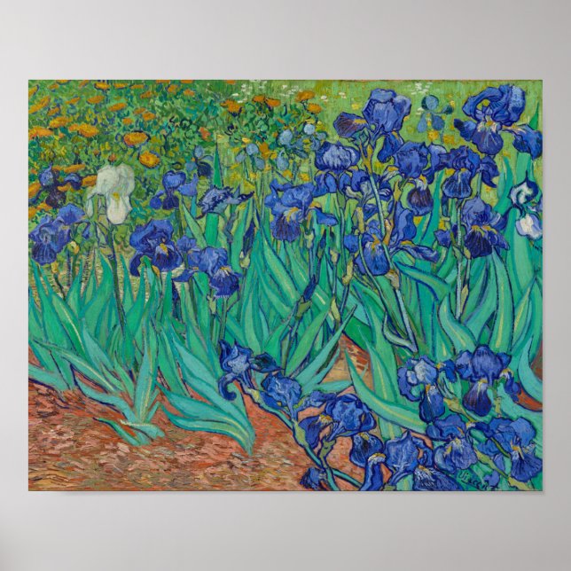 Irises von Vincent Van Gogh Poster (Vorne)