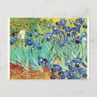 Irises von Vincent Van Gogh Postkarte