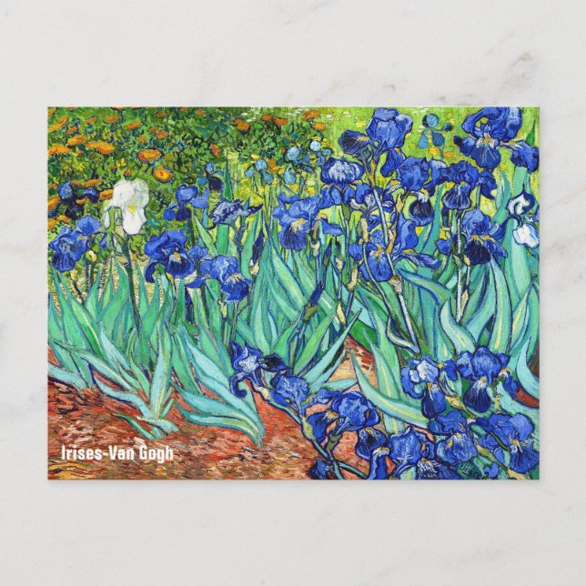 Irises von Vincent Van Gogh Postkarte (Vorderseite)