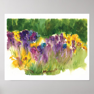Irisgarten-Aquarelldruck - 11 x14 Poster