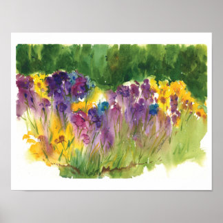 Irisgarten-Aquarelldruck - 11 x14 Poster
