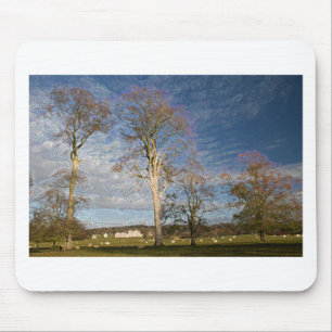 Irish Beech Trees Mousepad
