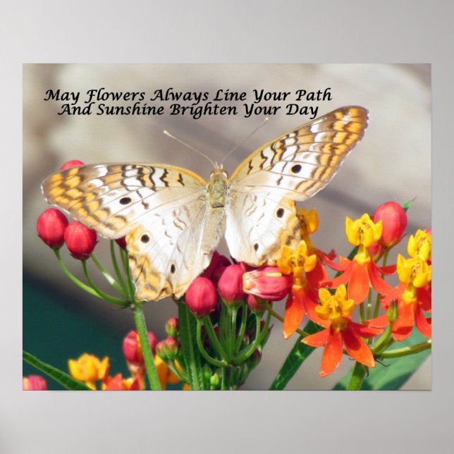 Irish Blessing Poster (Peacock blanc et Milkweed) (Devant)