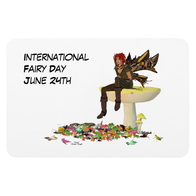 Irish Boy Fairy auf Mushroom Flexible Foto Magnet (Horizontal)