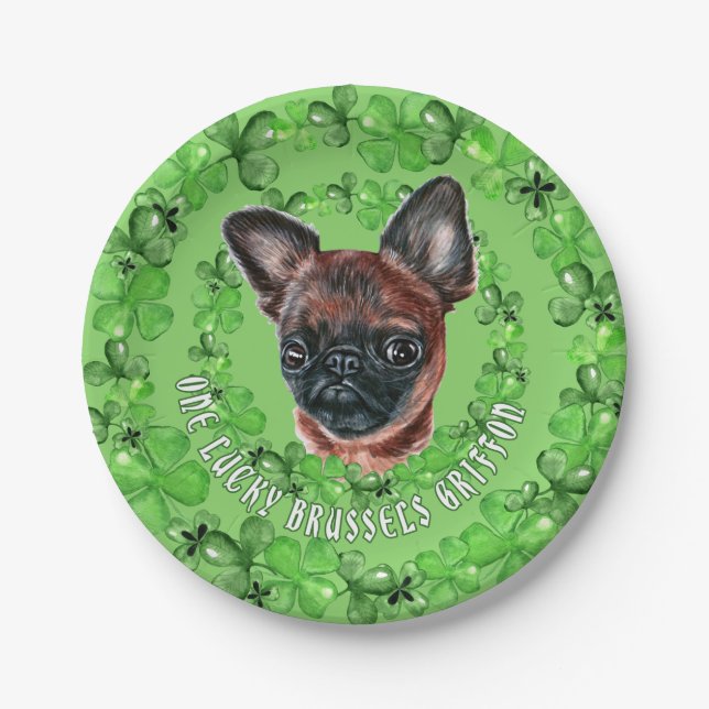Irish Brussels Griffon Pappteller (Vorderseite)