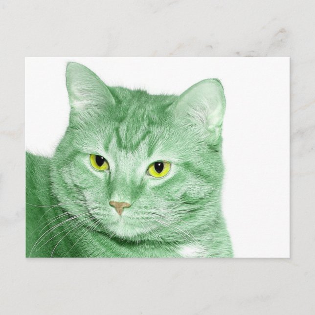 Irish Cat Postkarte (Vorderseite)