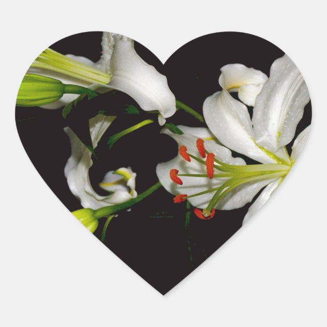 Irish Design - Sammlung von Messing und Blume Herz-Aufkleber (Vorderseite)