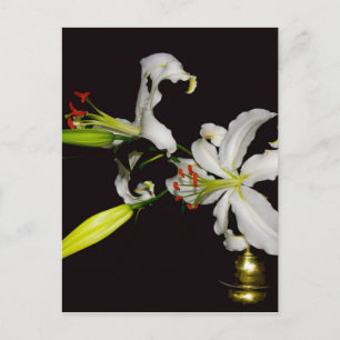 Irish Design - Sammlung von Messing und Blume Postkarte