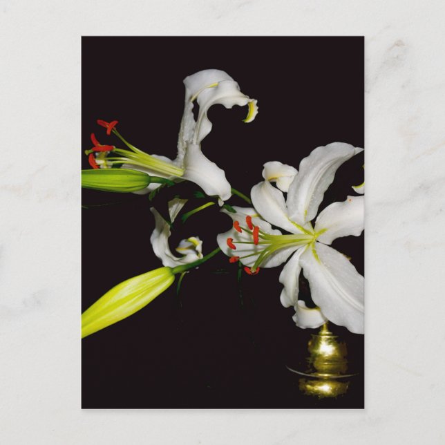 Irish Design - Sammlung von Messing und Blume Postkarte (Vorderseite)