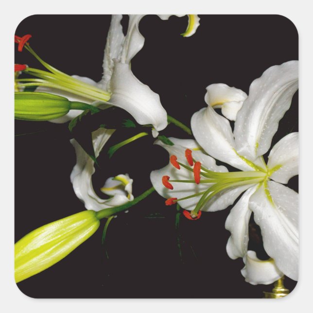 Irish Design - Sammlung von Messing und Blume Quadratischer Aufkleber (Vorderseite)
