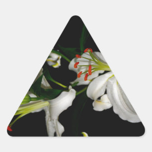 Irish Design - The Blume Collection Dreieckiger Aufkleber
