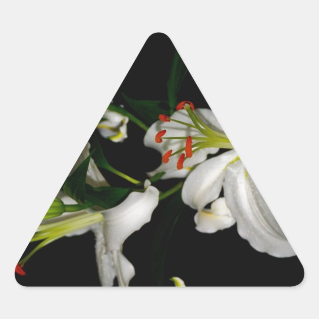 Irish Design - The Blume Collection Dreieckiger Aufkleber (Vorderseite)