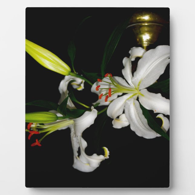 Irish Design - The Blume Collection Fotoplatte (Vorderseite)