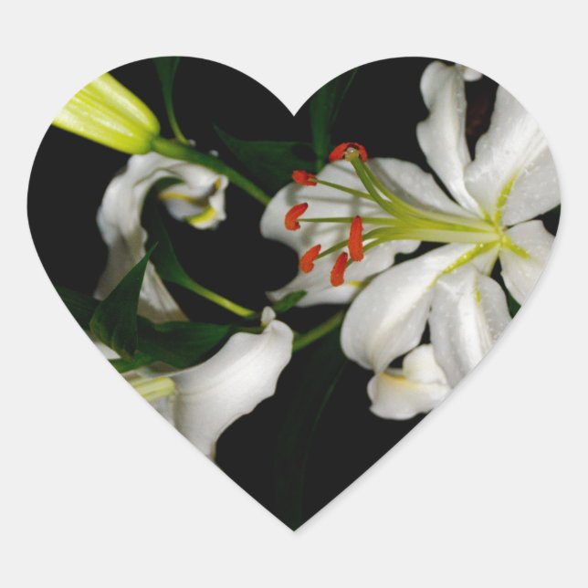 Irish Design - The Blume Collection Herz-Aufkleber (Vorderseite)