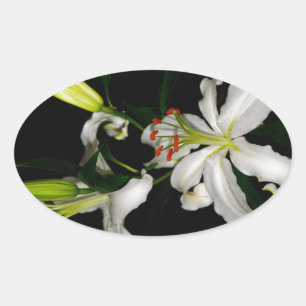 Irish Design - The Blume Collection Ovaler Aufkleber