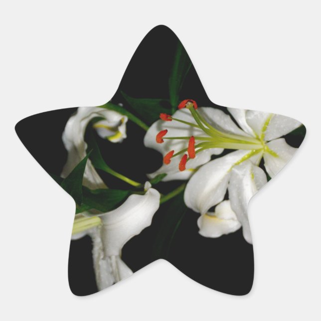Irish Design - The Blume Collection Stern-Aufkleber (Vorderseite)